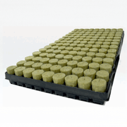 AGRA WOOL Basic Rockwool Growing Medium Plugs 28mm x 35mm, 126 Per Tray