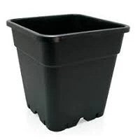 Black Square 3.5L Plant Pots - Bulk Pallet of 4608 for Hydroponics