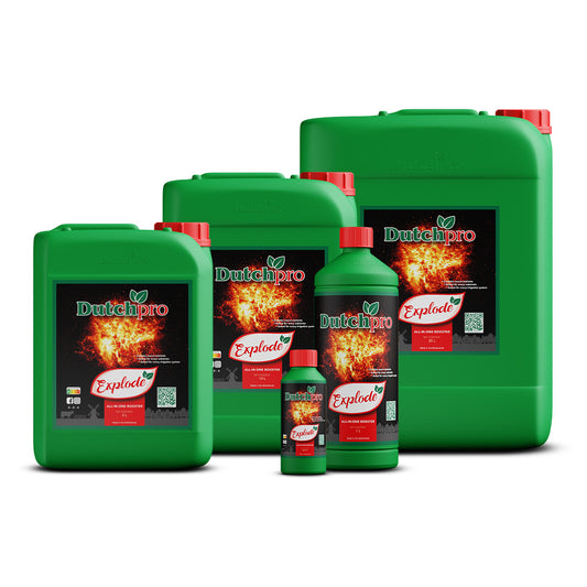 Dutch Pro Explode Ultimate Bloom Bud Booster for Enhanced Yields