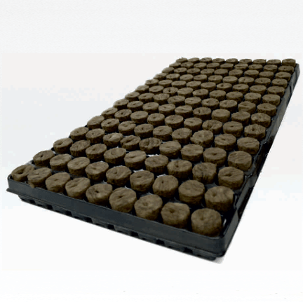 126-Cell Plug Box Horticultural Propagation Trays, 28x40mm Holes, 11-Tray Case