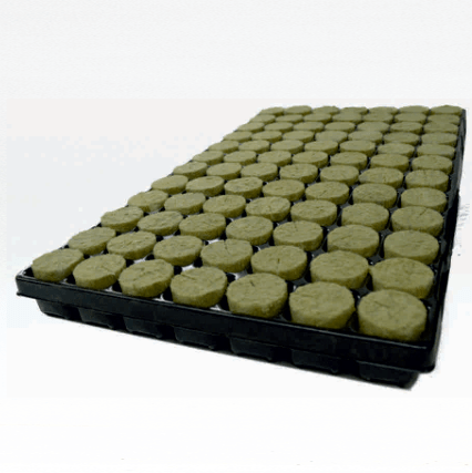 AGRA WOOL Basic Plant Propagation Plugs, 38x35mm Holes, 84 Cell Tray