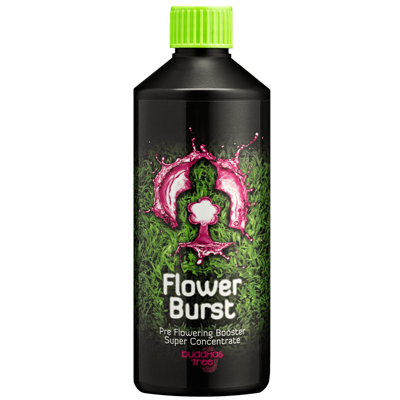 Buddhas Tree Flower Burst 500ml Early Flowering Nutrient Supplement for Explosive Bloom