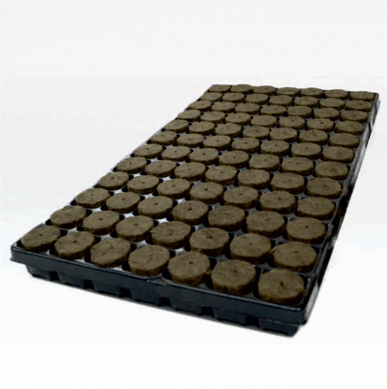 Professional 84-Cell Plant Propagation Plug Trays, 38x40mm Holes, 11-Tray Case
